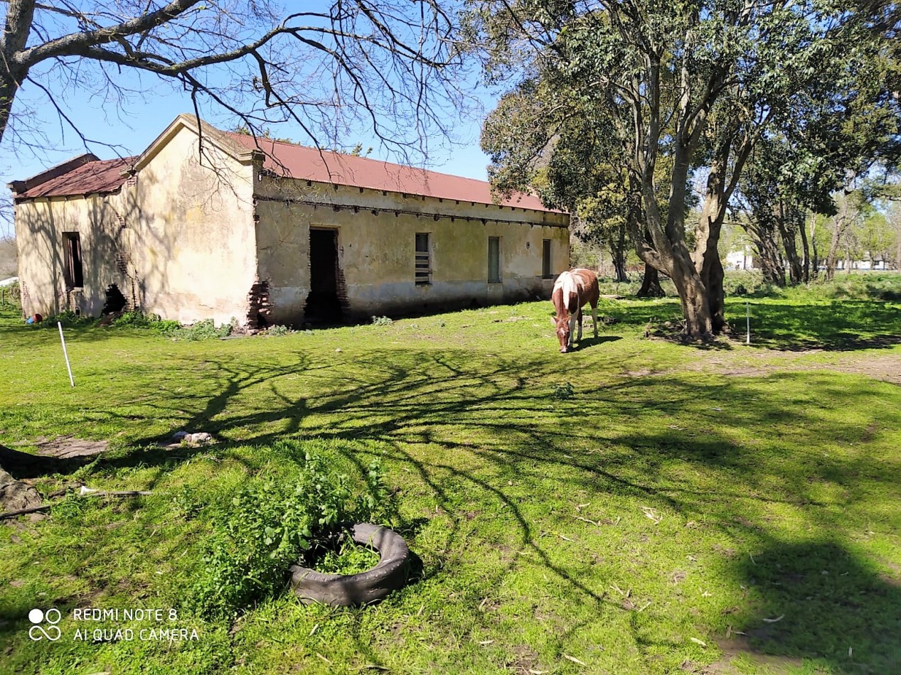 EXCELENTE CHACRA EN VENTA EN MADARIAGA