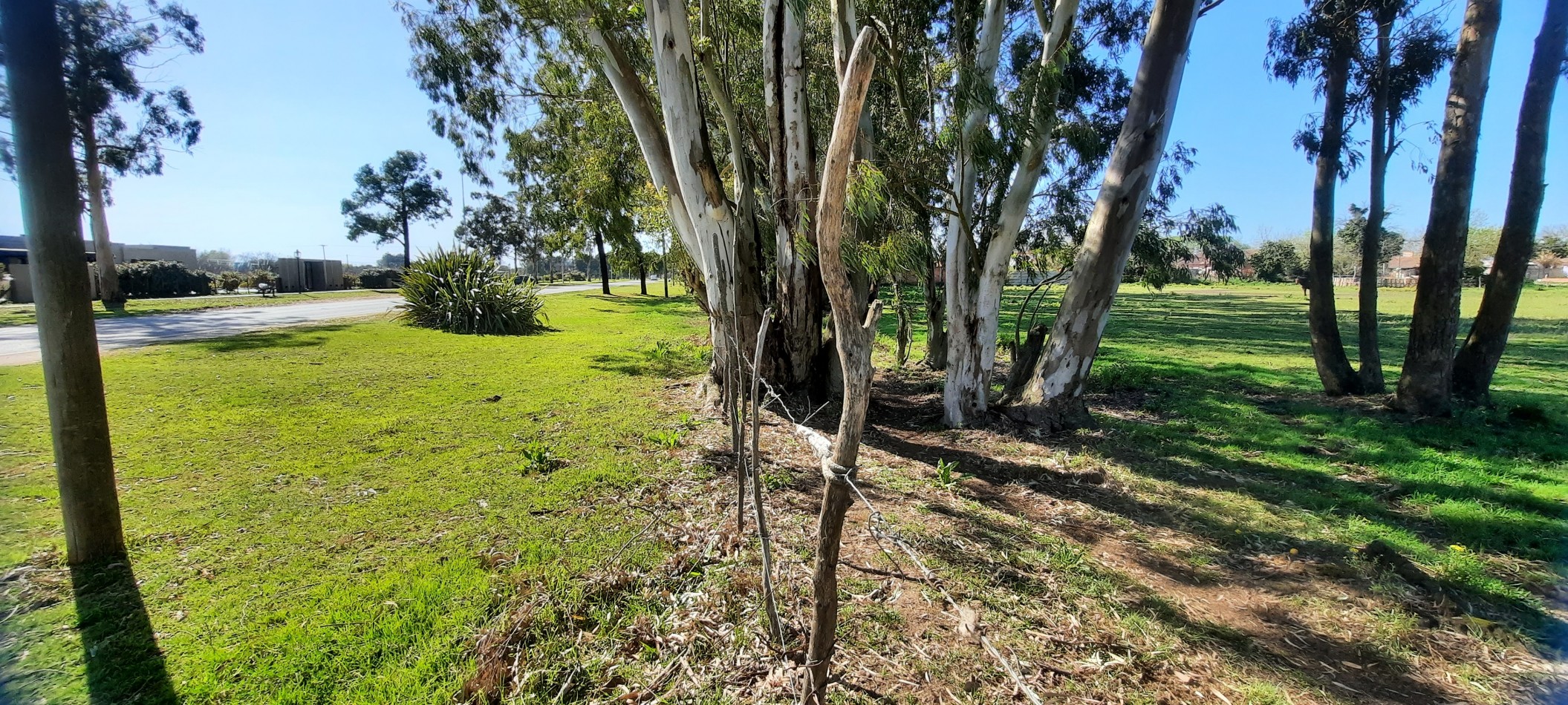  TERRENO DE 1 HA. APTO PARA SUBDIVISION