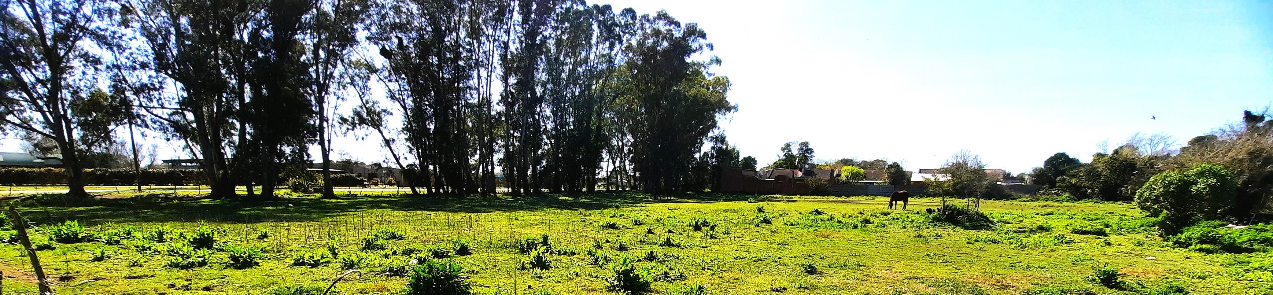  TERRENO DE 1 HA. APTO PARA SUBDIVISION