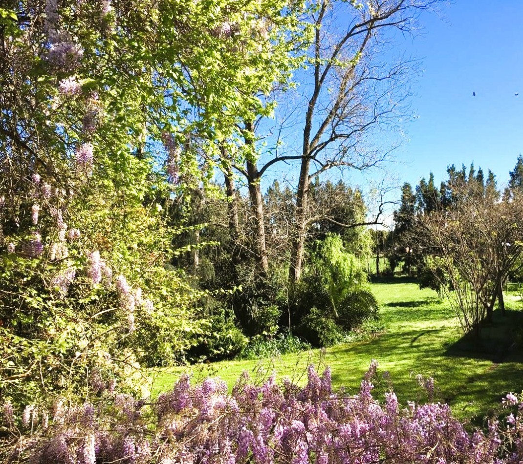 ANTIGUA CASONA CON PARQUE FORESTADO Y HERMOSAS VISTAS.