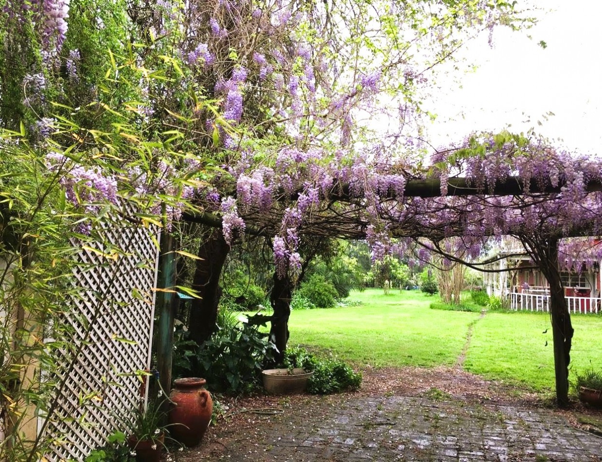 ANTIGUA CASONA CON PARQUE FORESTADO Y HERMOSAS VISTAS.