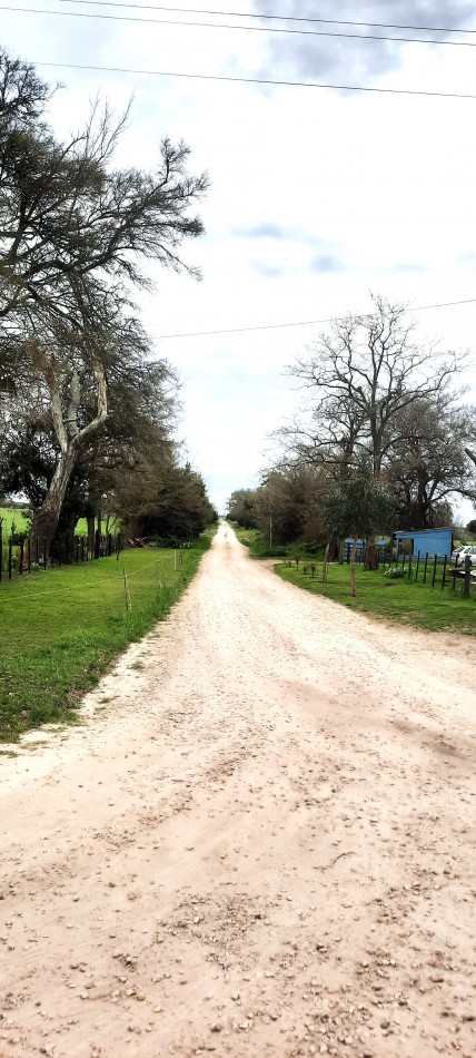 AMPLIO LOTE CON CASA A REPARAR. ENTORNO RURAL A 10´ DE PINAMAR