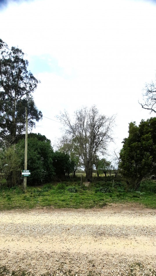 AMPLIO Y AGRESTE LOTE EN VENTA A 10´ DE PINAMAR