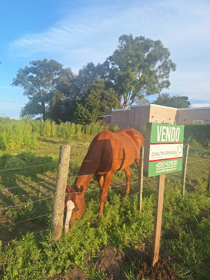  LOTE EN BARRIO MARTIN FIERRO. GRAL. MADARIAGA