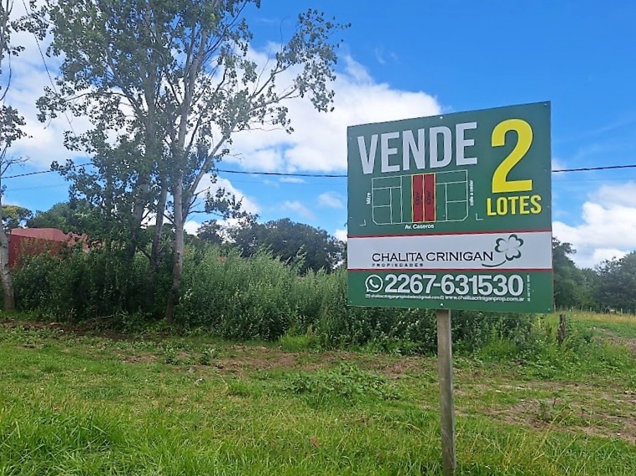 Gral. Madariaga, 2 lotes unifamiliares sobre Avenida.