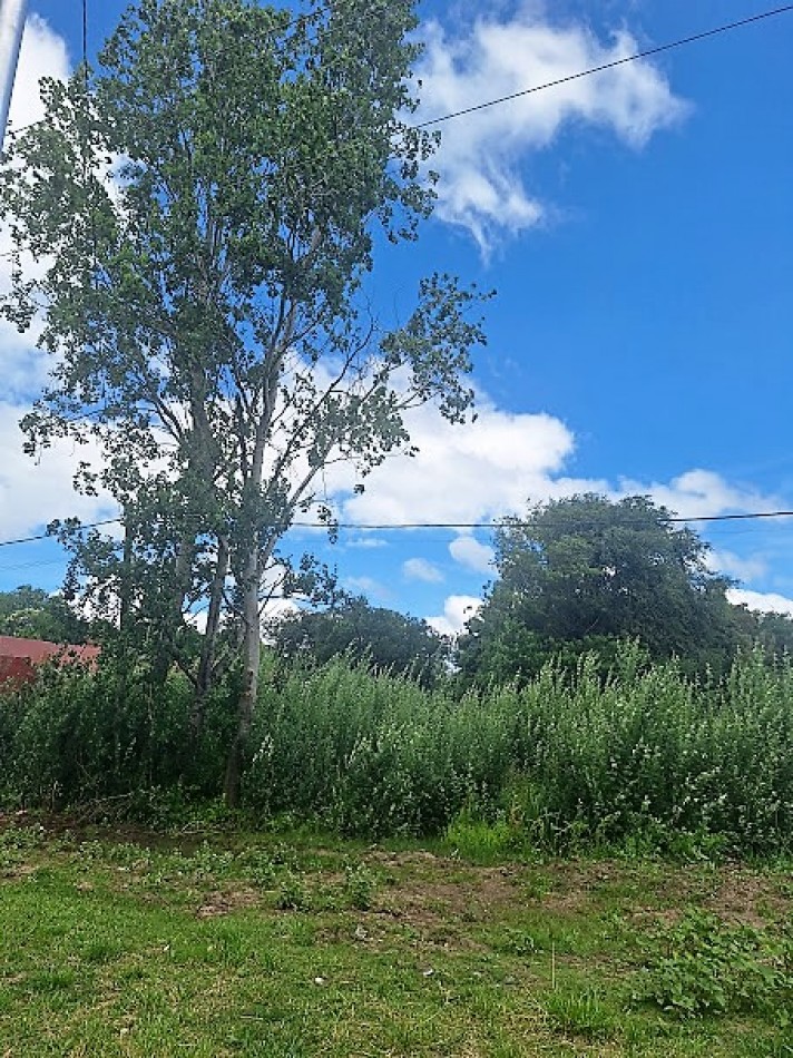 Gral. Madariaga, 2 lotes unifamiliares sobre Avenida.