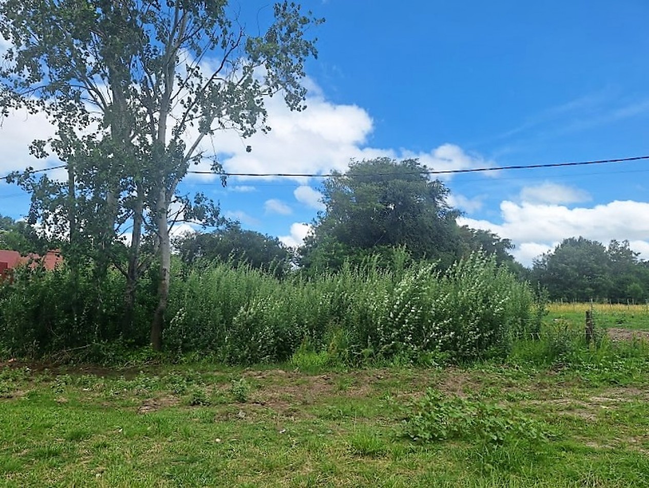 Gral. Madariaga, 2 lotes unifamiliares sobre Avenida.