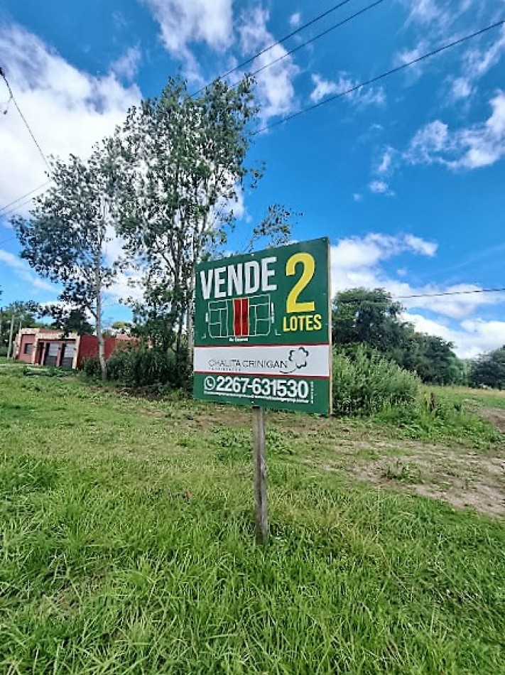 Gral. Madariaga, 2 lotes unifamiliares sobre Avenida.