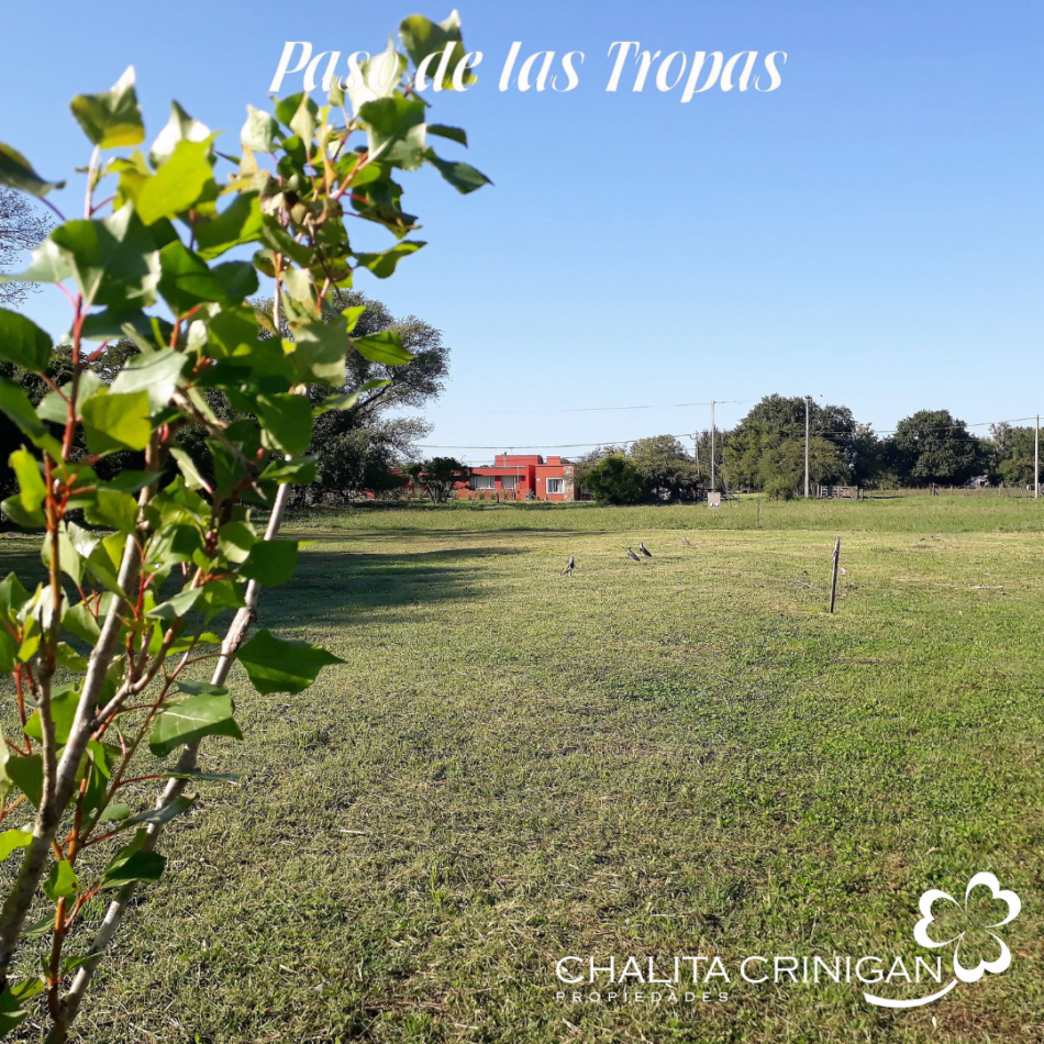 Lote 9- Paso de las Tropas.