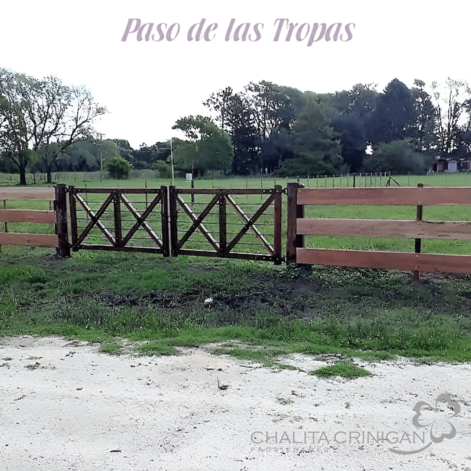Lote 9- Paso de las Tropas.