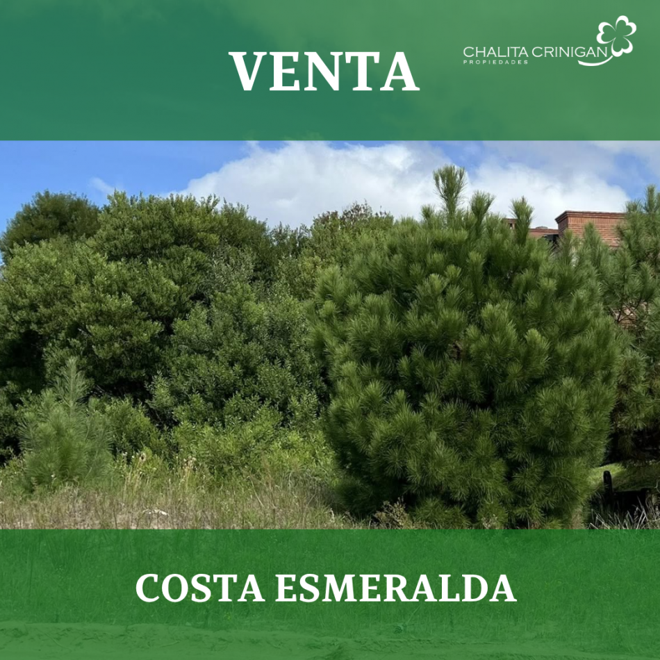 Costa Esmeralda - LOTE SENDEROS III 377 
