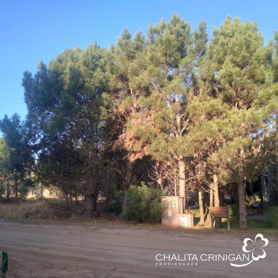 Costa Esmeralda - Lote Golf II 642