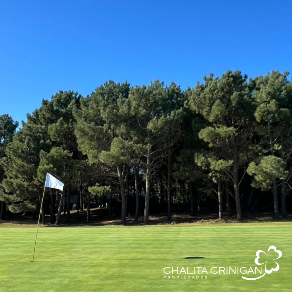 Costa Esmeralda - LOTE GOLF II 446