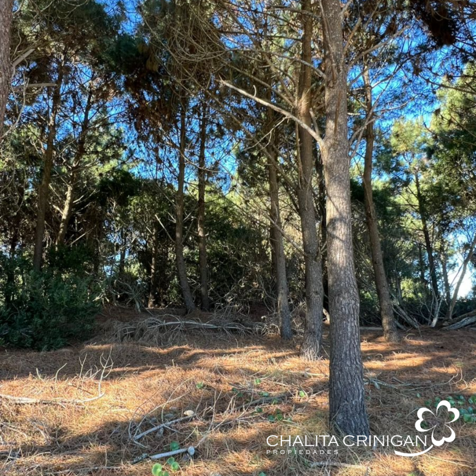 Costa Esmeralda - LOTE GOLF II 446