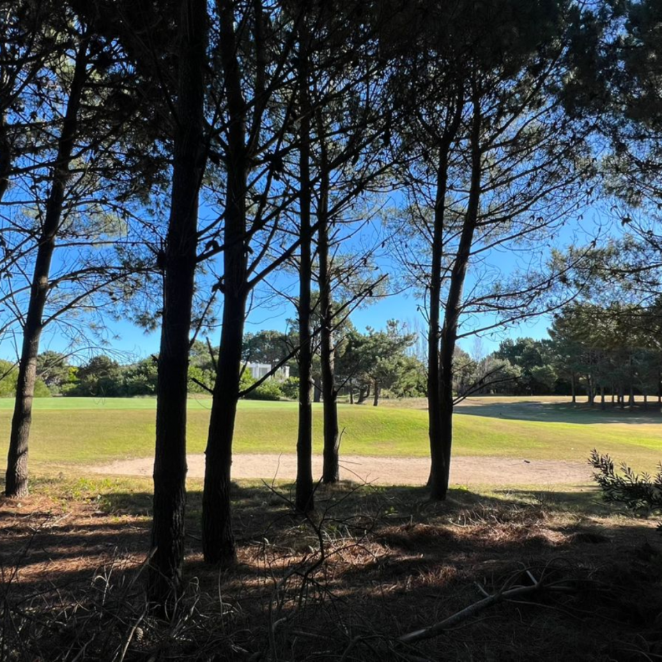 Costa Esmeralda - LOTE GOLF II 446