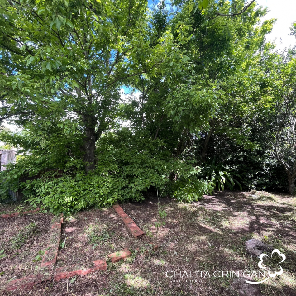 ¡VENTA! Gral. Madariaga, Bs. As. Oportunidad para desarrollo multifamiliar, vivienda unifamiliar con jardin o proyecto a medida en una zona verde y accesible.