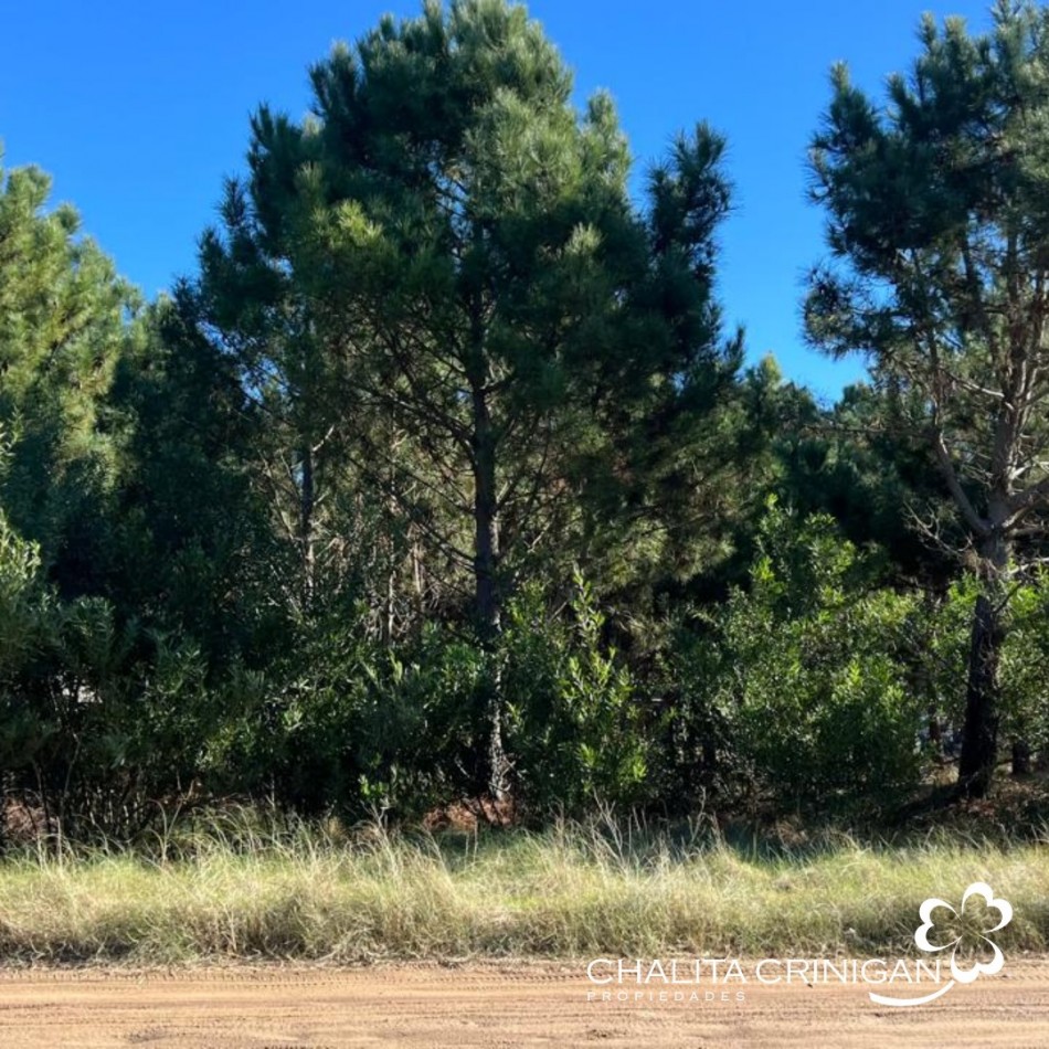 Costa Esmeralda - Lote Golf II 642