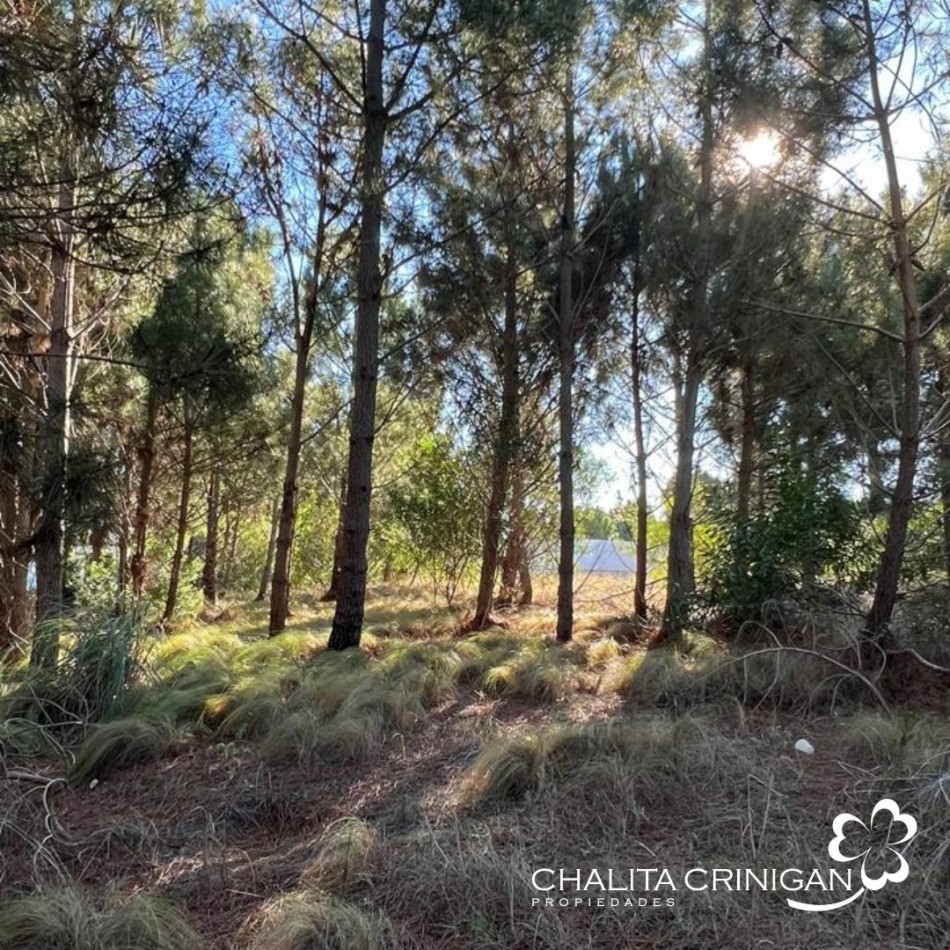 Costa Esmeralda - Lote Golf II 642