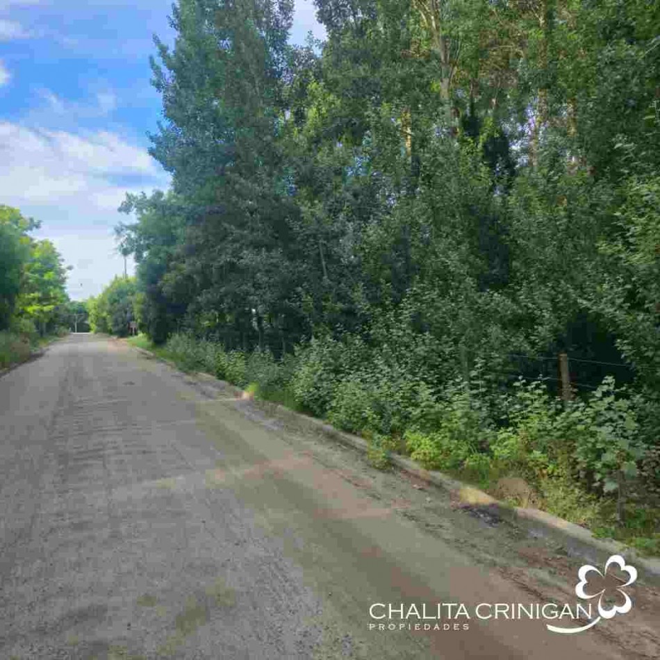 ¡VENTA! Gral Madariaga - Buenos Aires 1 hectarea excelente ubicacion