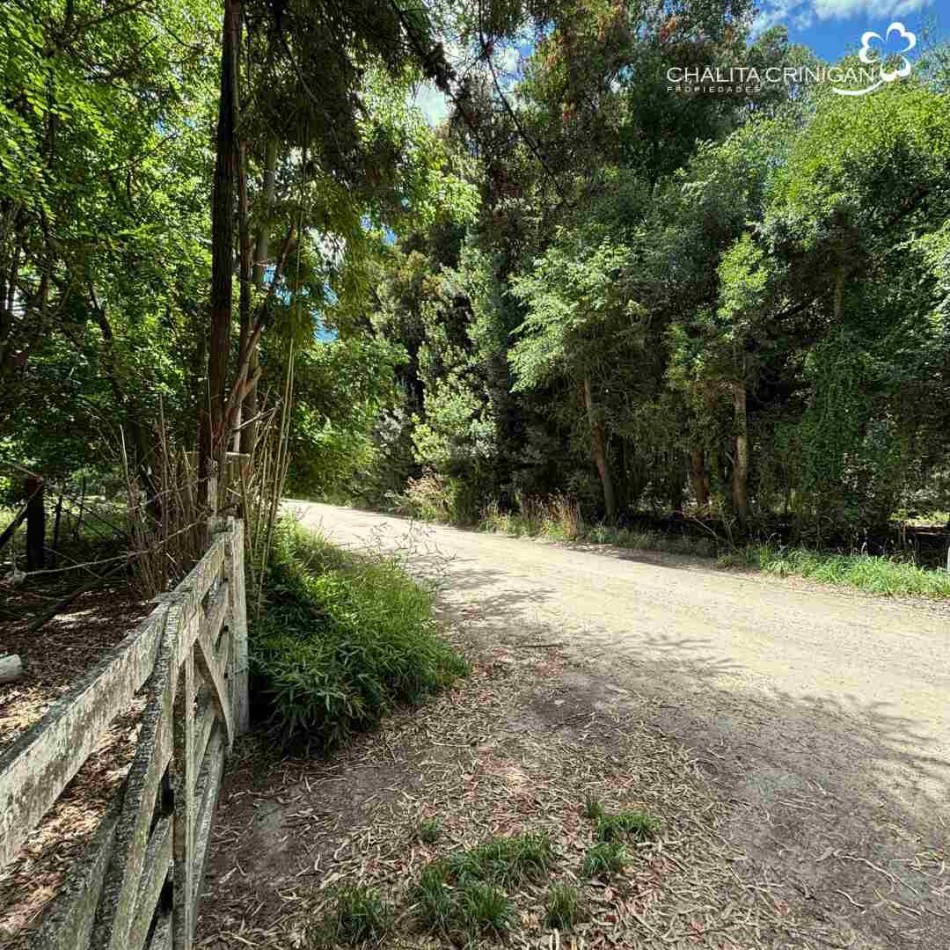 ¡VENTA! Gral. Madariaga, Bs.As. Media hectarea arbolada 