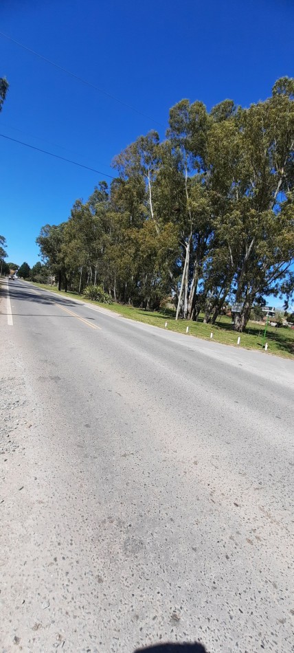  TERRENO DE 1 HA. APTO PARA SUBDIVISION