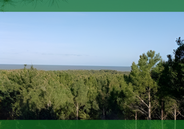 Costa Esmeralda - LOTE MARITIMO III 4