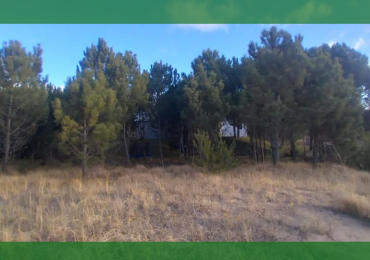 Costa Esmeralda - Lote Golf II 642