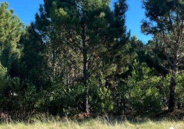 Costa Esmeralda - Lote Golf II 642