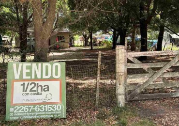 ¡VENTA! Gral. Madariaga, Bs.As. Media hectarea arbolada 